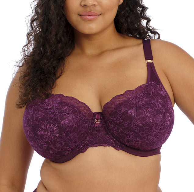 Cake Lotus Basic Colors Hands Free Breast Pumping Bra Busty F-HH