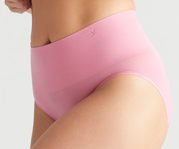 Yummie Outlast Ultralight Pink Cashmere Shaping Brief Panty YT5-158 – The  Bra Genie