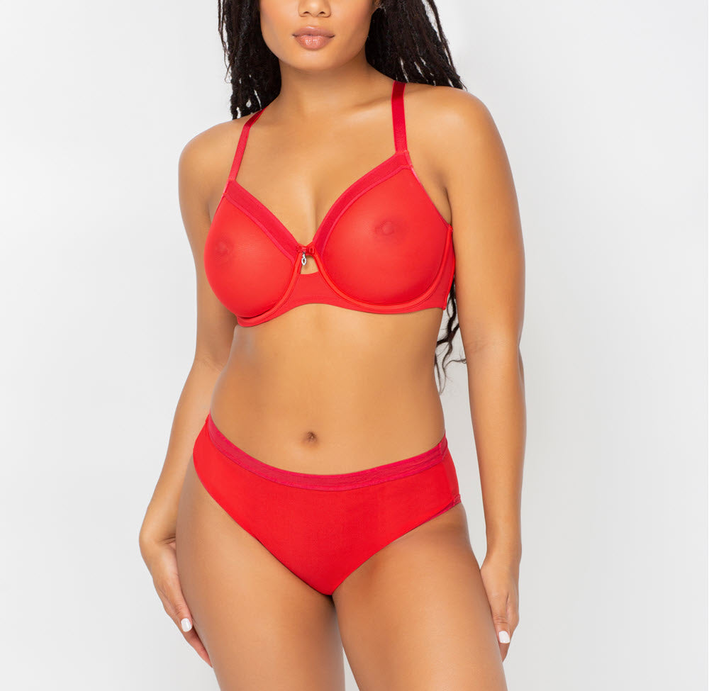 Curvy Couture Sheer Mesh Diva Red High Cut Hipster Panty 1313 – The Bra  Genie