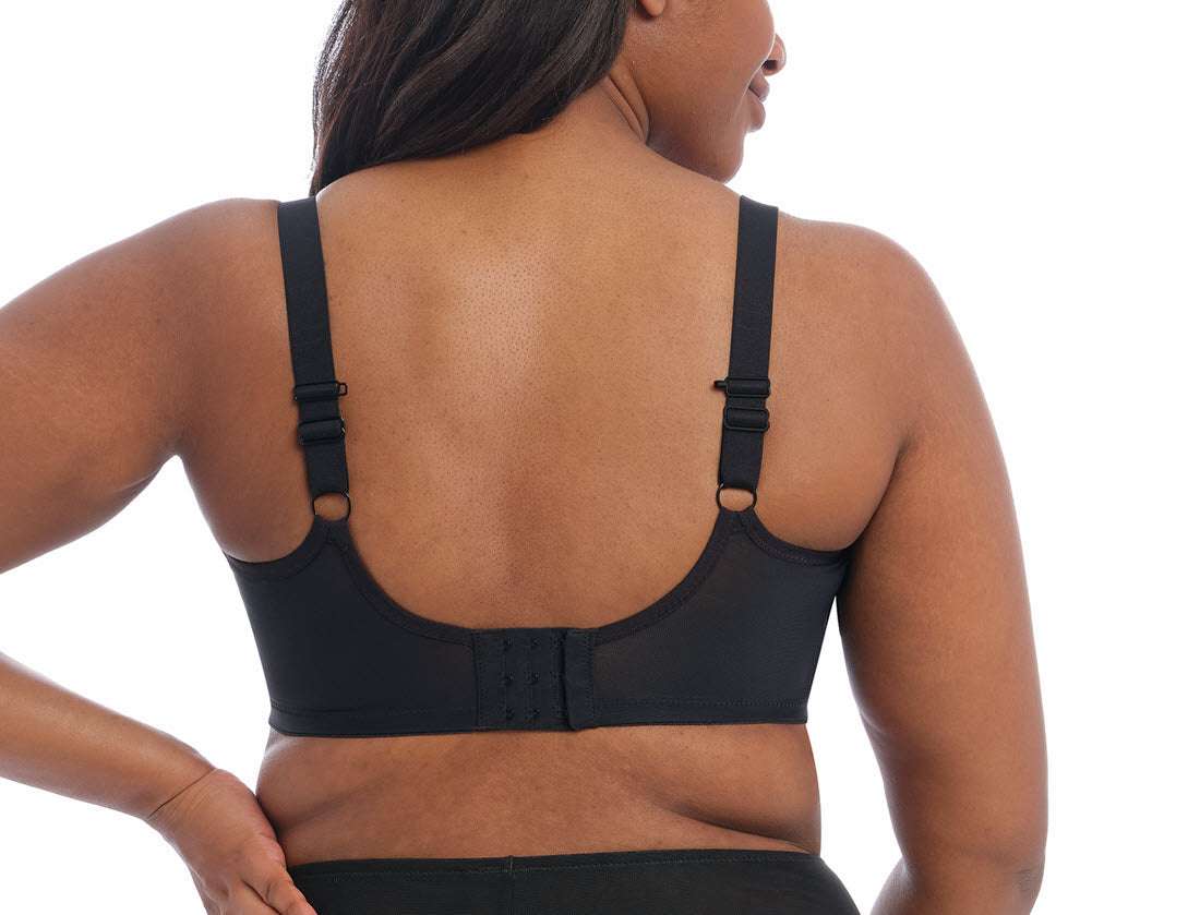 Elomi Brianna Black Padded Bra 8081 The Bra Genie