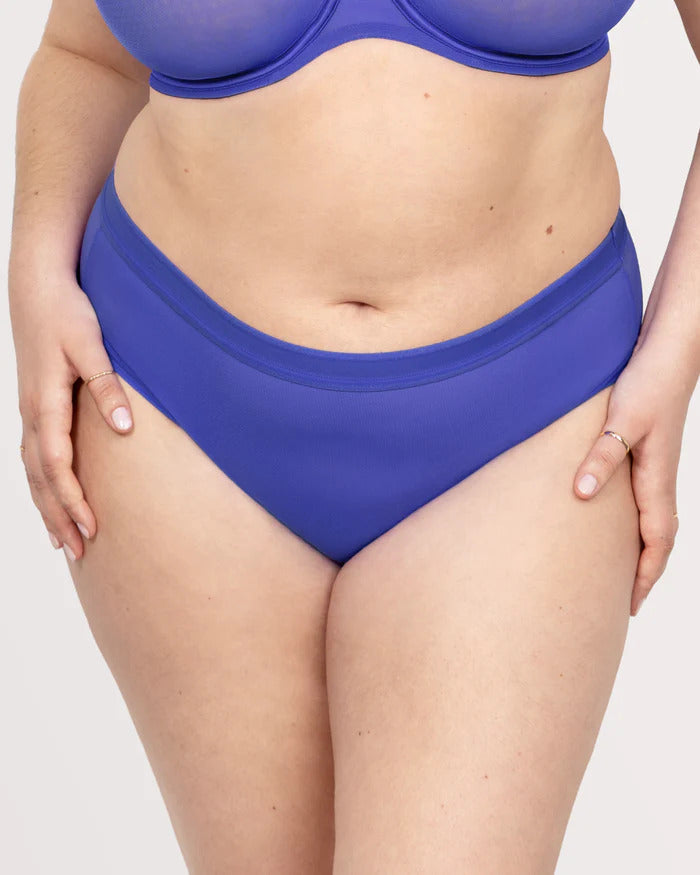 Curvy Couture Sheer Mesh Radiant Plum High Cut Hipster Panty 1313 – The Bra  Genie