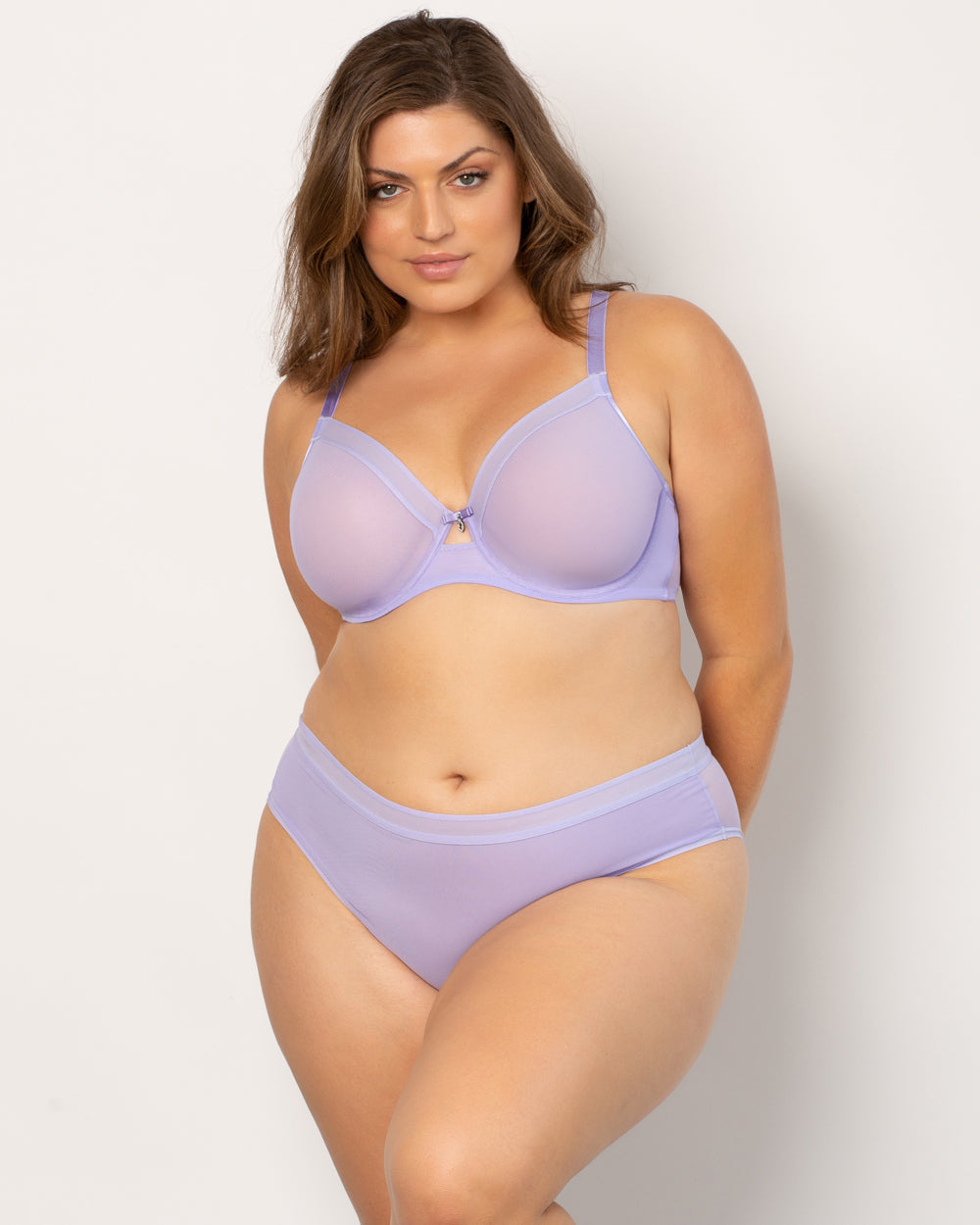 Curvy Couture Sheer Mesh Lavender High Cut Hipster Panty 1313 – The Bra  Genie